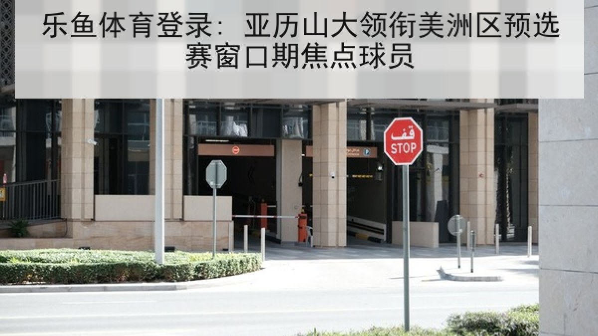 乐鱼体育登录: 亚历山大领衔美洲区预选赛窗口期焦点球员